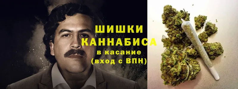 Шишки марихуана THC 21%  дарнет шоп  Катав-Ивановск 